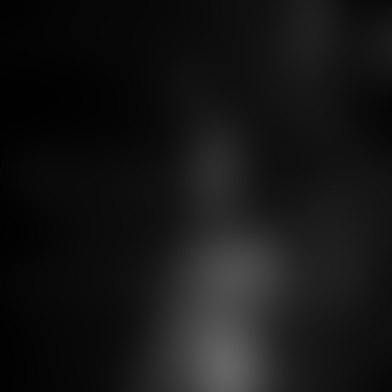 Clejuso No. 11 - Korkealaatuiset teräksiset poliisin käsiraudat - 1