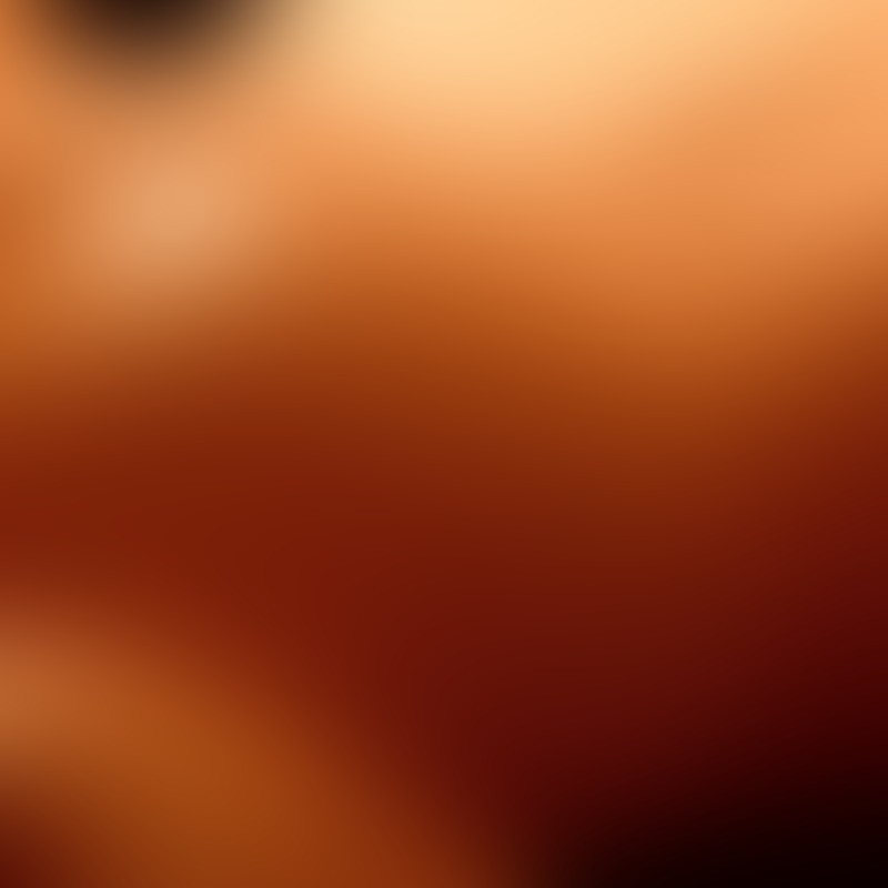 All You Can Fuck Set - 5