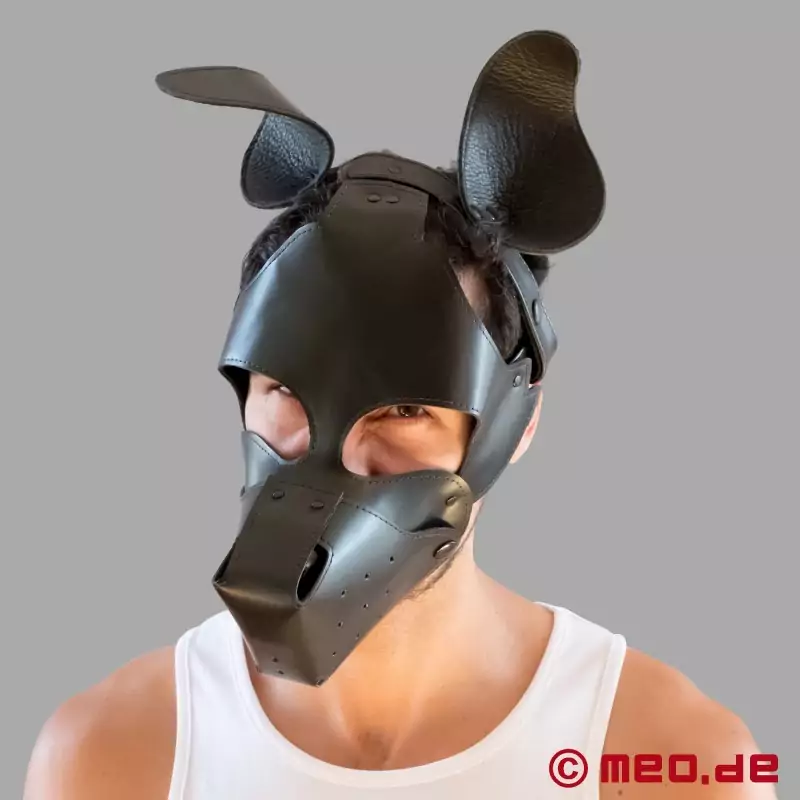 Good Boy – Masque de petit chien – Masque Puppy en forme de tête de chien 