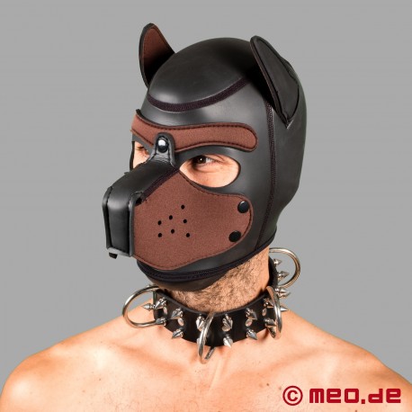 Hundhalsband i läder med piggar - Alpha Male