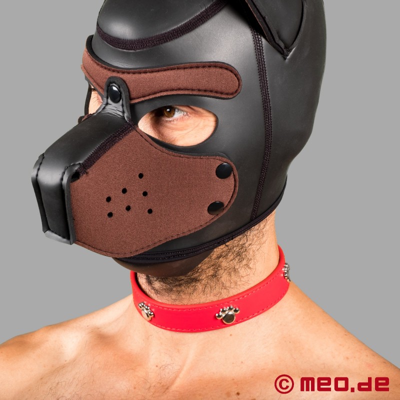 Collar para perro - Bad Puppy