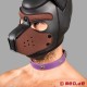 Bad Puppy Dog Collar - Fetish Collar