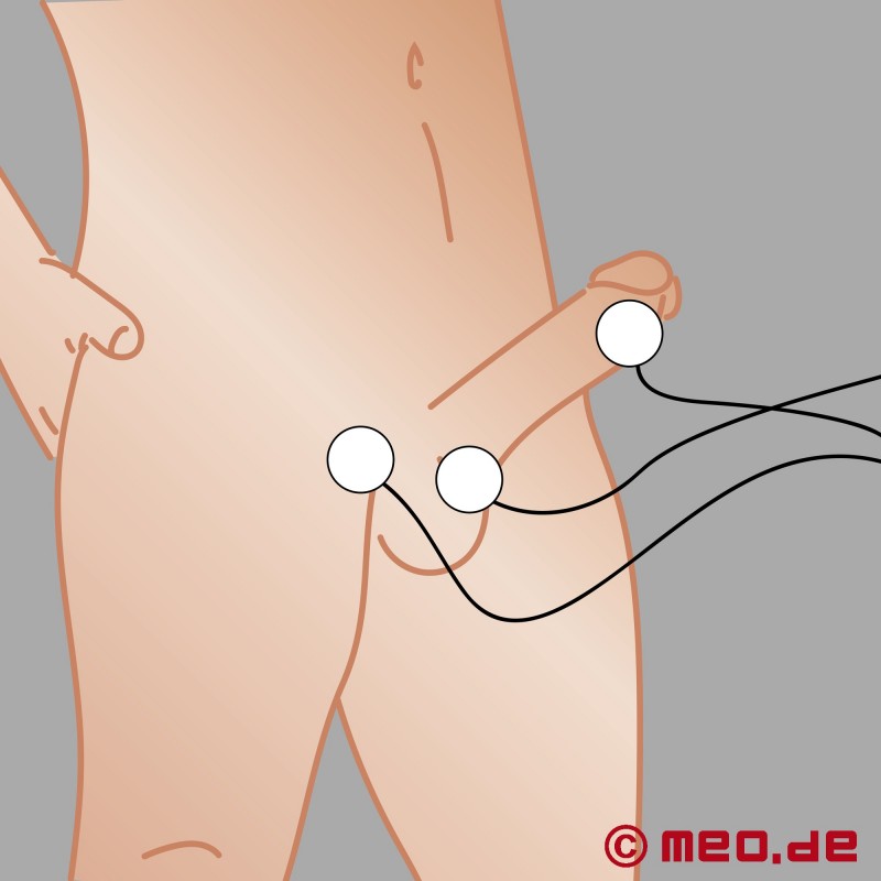 pakke med 10 runde elektroder til penis, anus og testikler