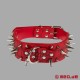 Red spiked collar for the human pup