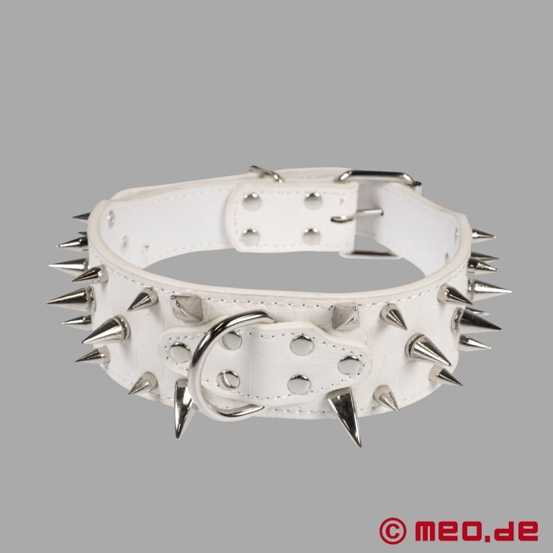 White spiked collar for the human pup