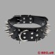 Black spiked collar for the human pup