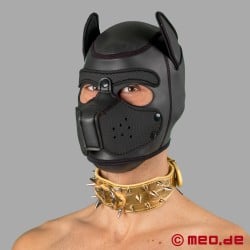 Gold spiked collar for the human pup