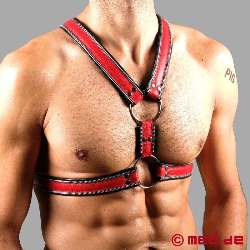 Código Z Berlin Bondage Harness preto/vermelho