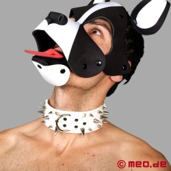 Witte spijkerhalsband voor de Human Pup