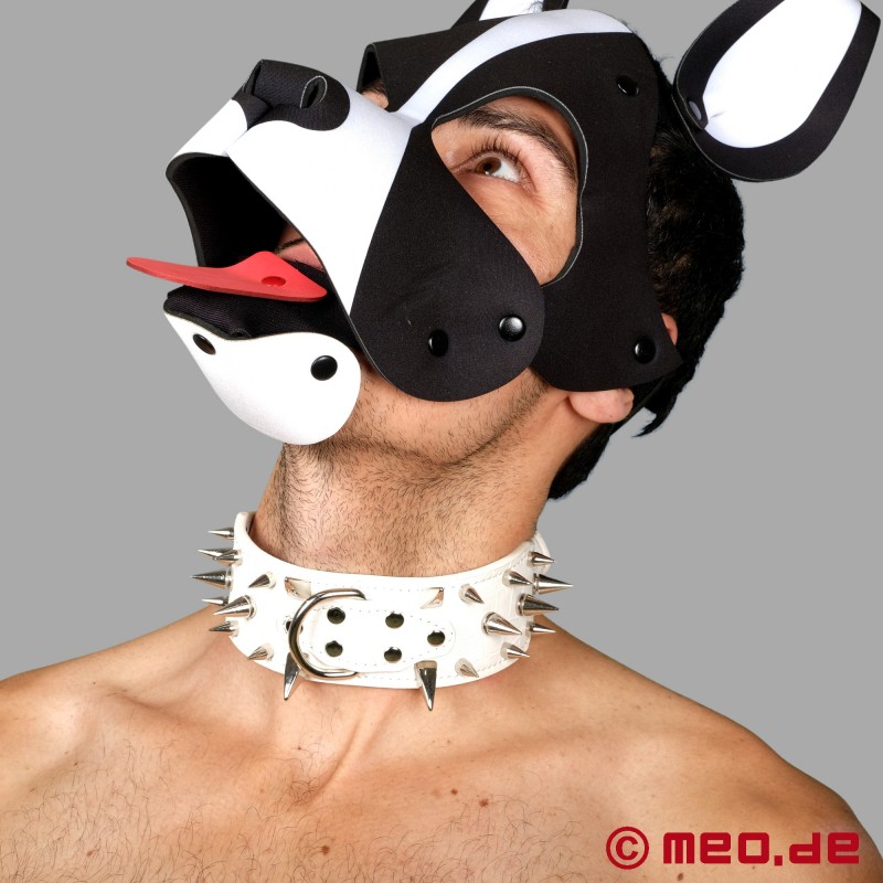 Weißes Stachelhalsband für den Human Pup