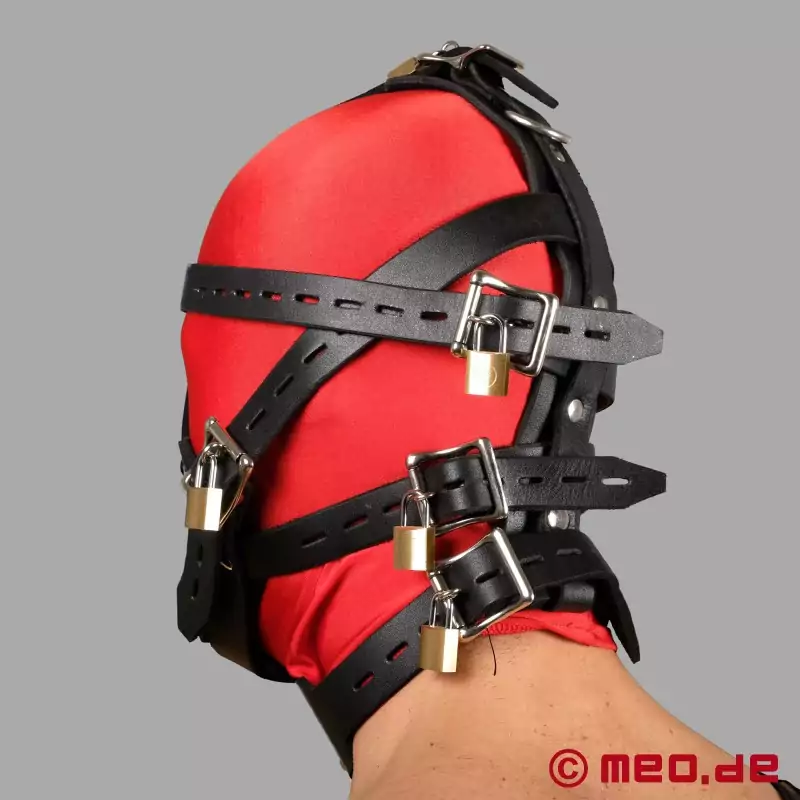 Head Harness Muzzle with Locking Buckles 