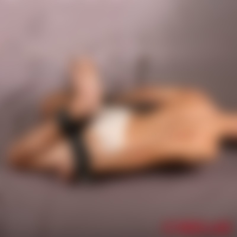 Кожен комплект за Hogtie от кожа - MEO Германия - 9