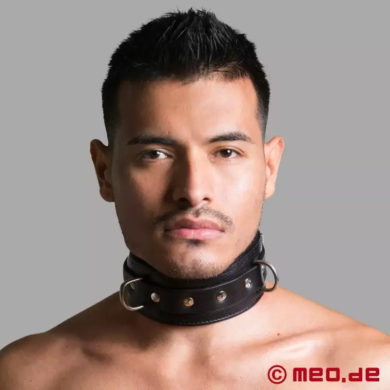 Leather Bondage Collar