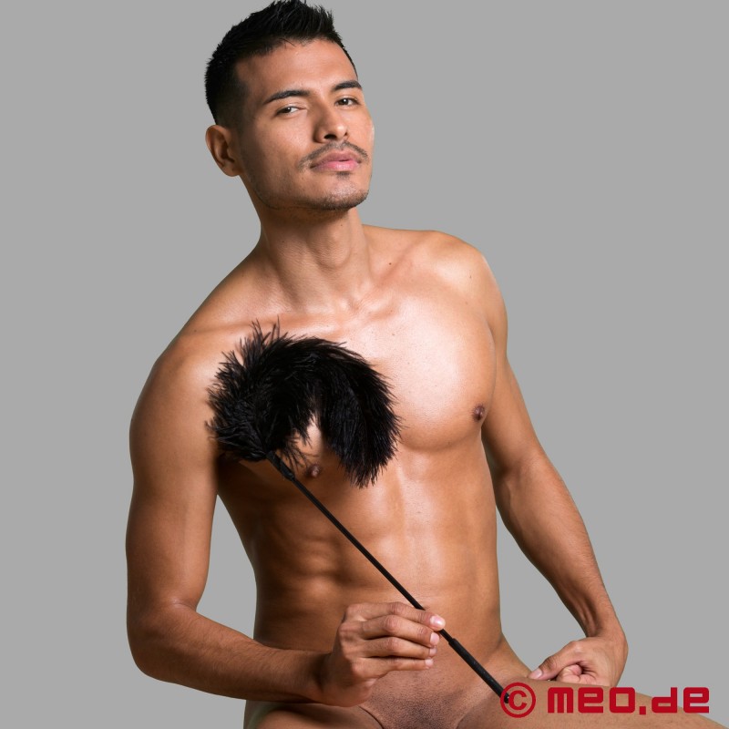 Tickler para fazer cócegas - com penas de avestruz preto