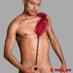 Tickler BDSM cu pene de struț de culoare burgundă