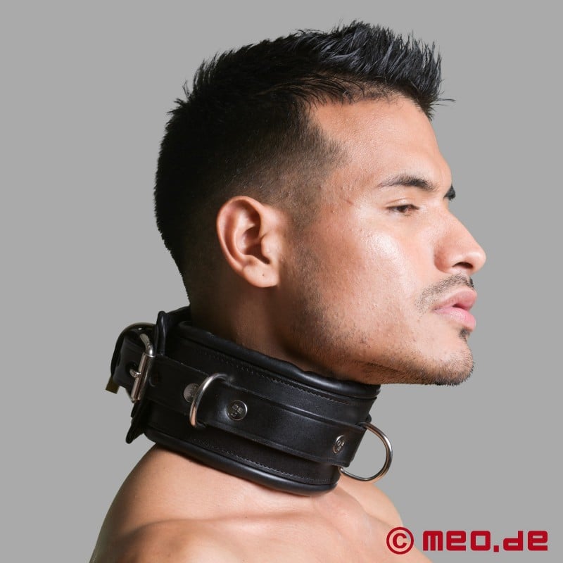 BDSM Collar, Leather, Padded, Lockable, with D-Rings - San Francisco Collection