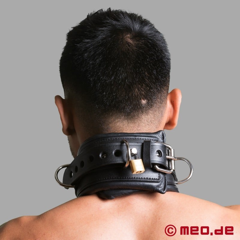 BDSM Collar, Leather, Padded, Lockable, with D-Rings - San Francisco Collection