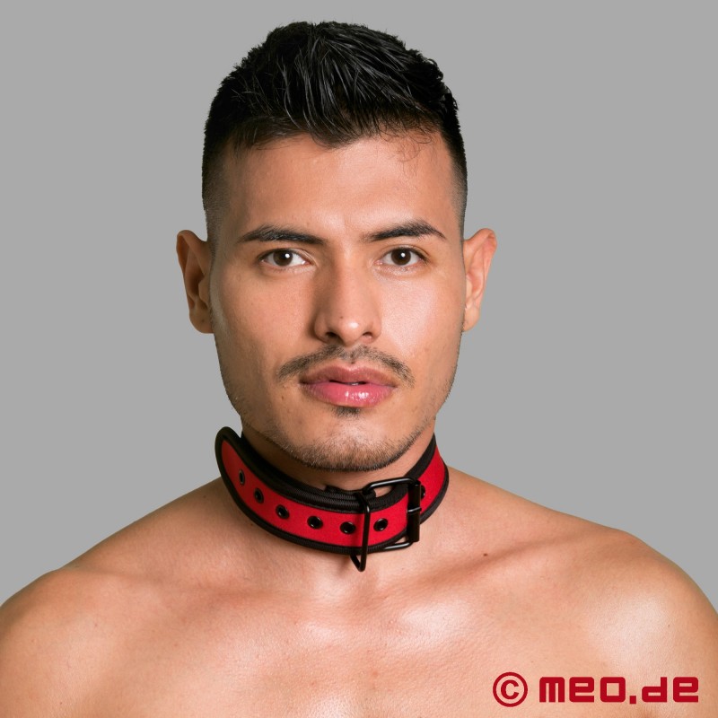 BDSM-halsband i neopren, röd