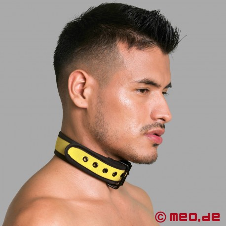 BDSM Halsband aus Neopren in gelb