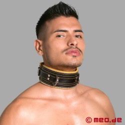 BDSM Halsband - schwarz/gelb