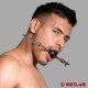 Pettorina da testa innovativa con ball gag