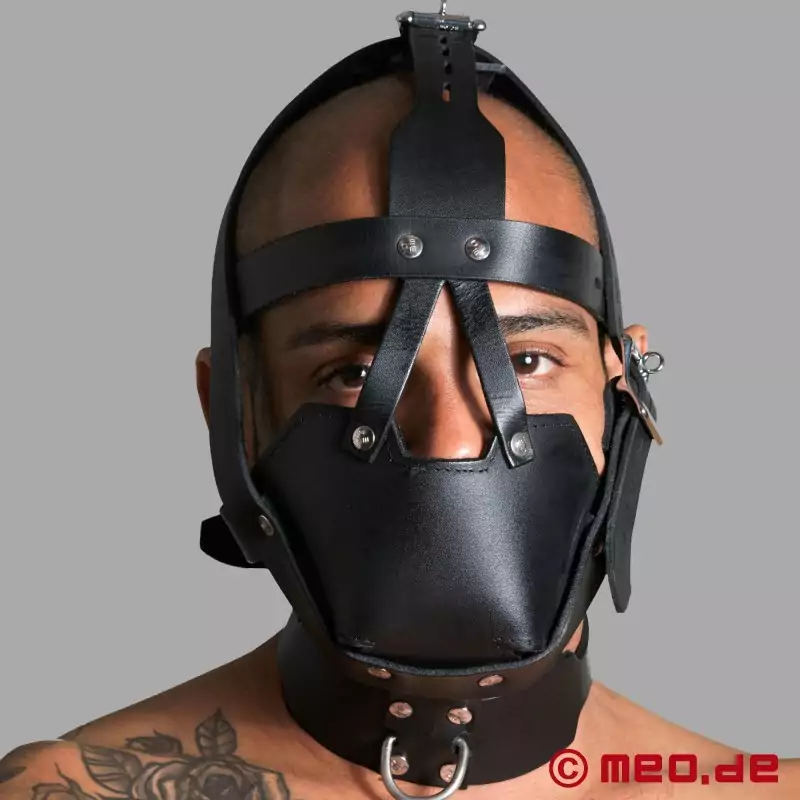 Head Harness Muzzle with Locking Buckles 