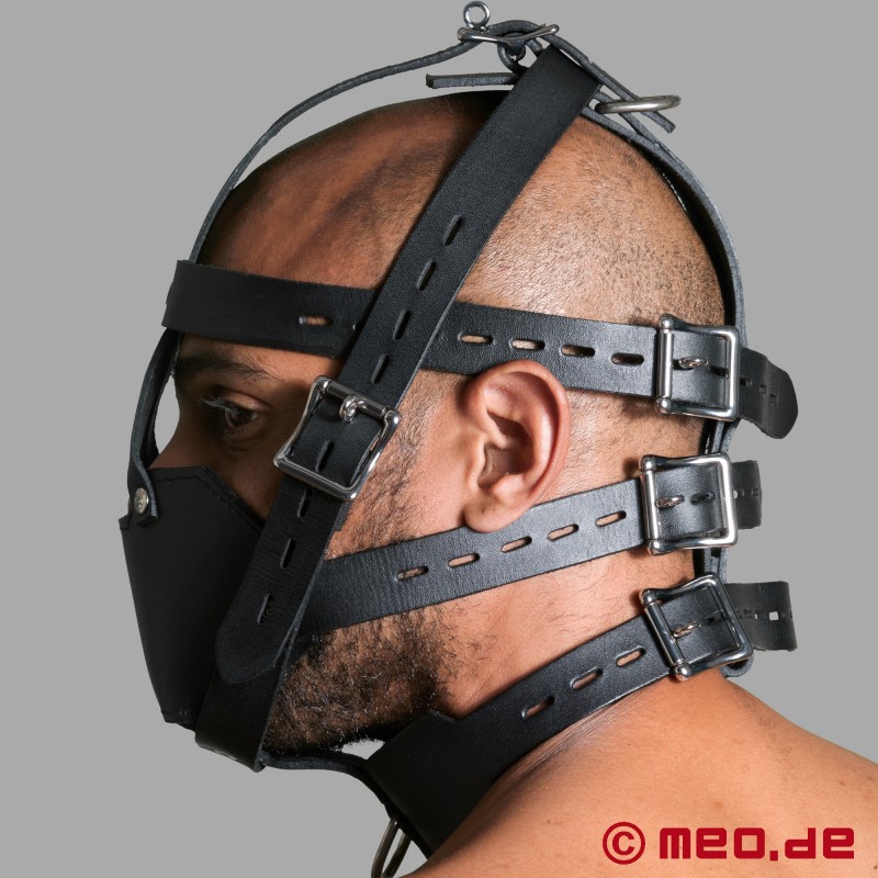 Bondage Head Harness