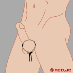 Stud Ring - bucle de pene para electroestimulación