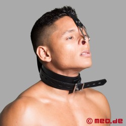 BDSM-halsbånd med nesekrok