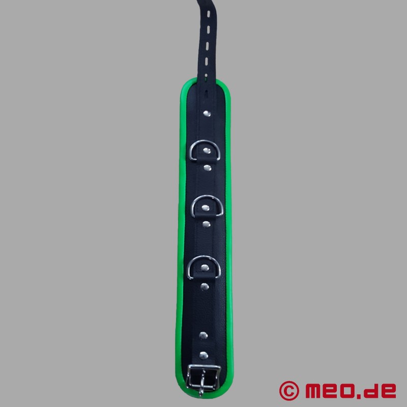 BDSM Halsband aus Leder – schwarz/grün – Amsterdam