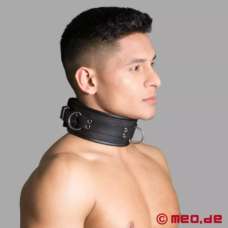 BDSM collar in leather with spikes and D-rings