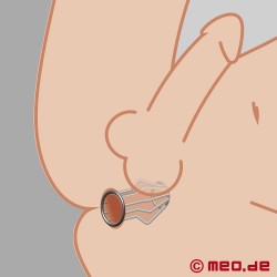 Anal Cage - Butt Plug