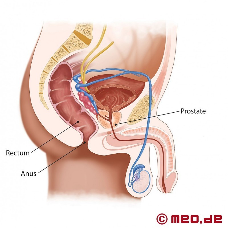 Stimulator de prostată cu telecomandă
