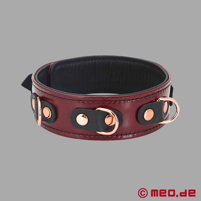 BDSM Leather Collar and Lead – Noblesse Collection