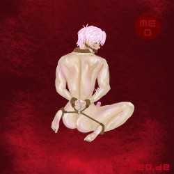 Shibari bondage - Hogtie Komplet vrvi
