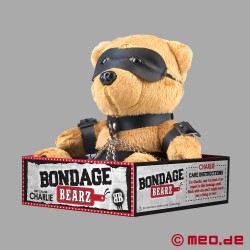 MEO 的 Charlie Chains - 戴着锁链的捆绑泰迪熊