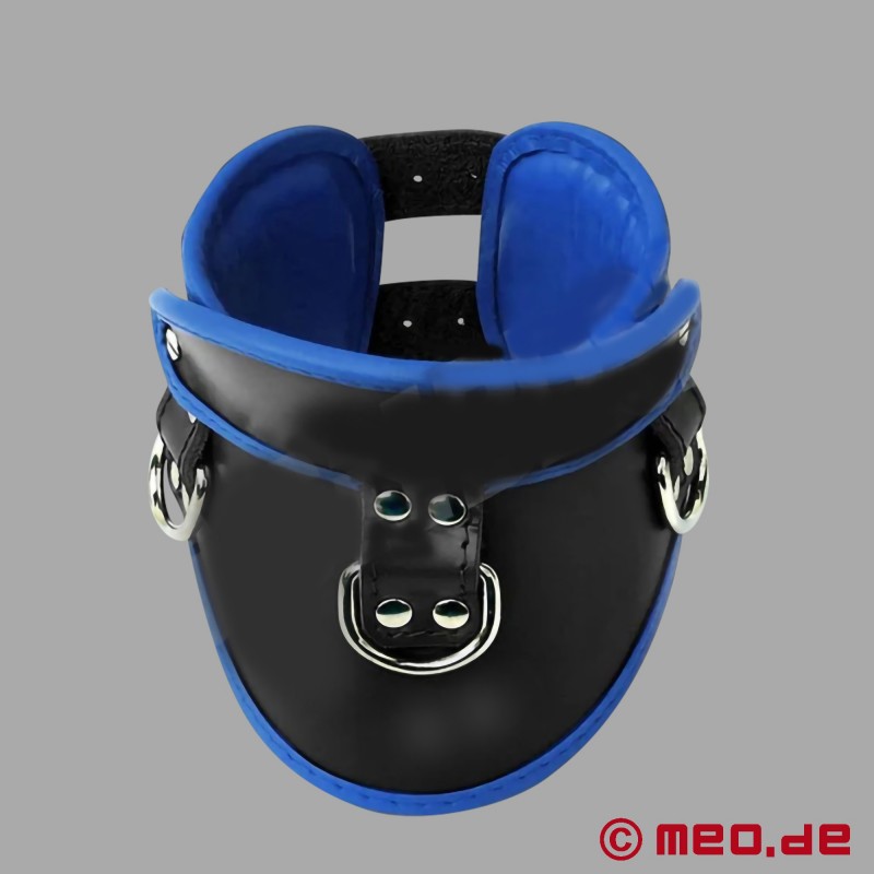 Abschließbares Posture Collar aus Leder – schwarz/blau