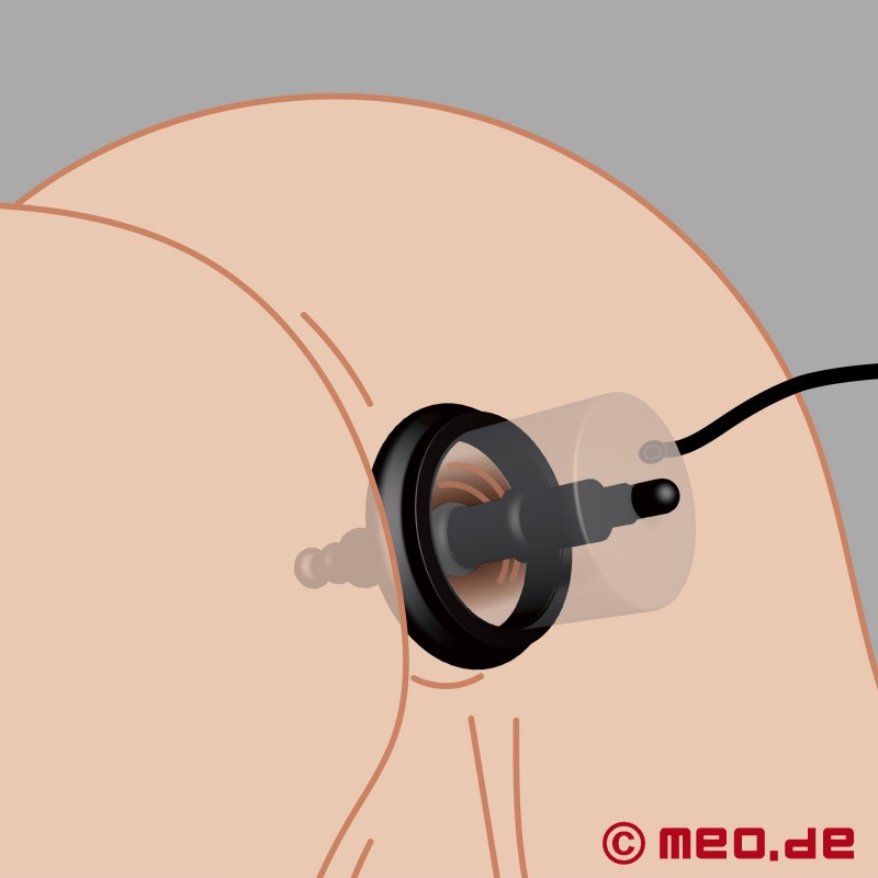 Cilindro de vácuo anal com dildo e bomba manual