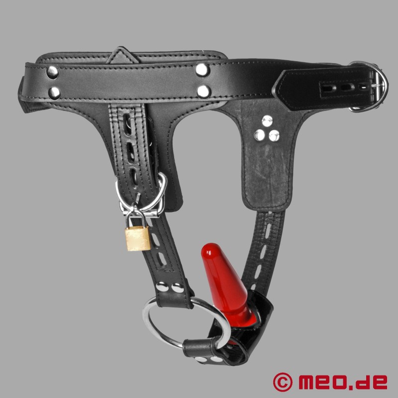 BDSM Harness for Dildo and Anal Plug - Premium Leather 