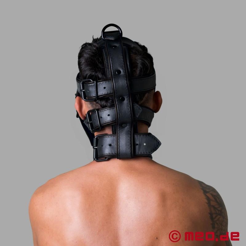 Leather Head Harness - Deluxe San Francisco