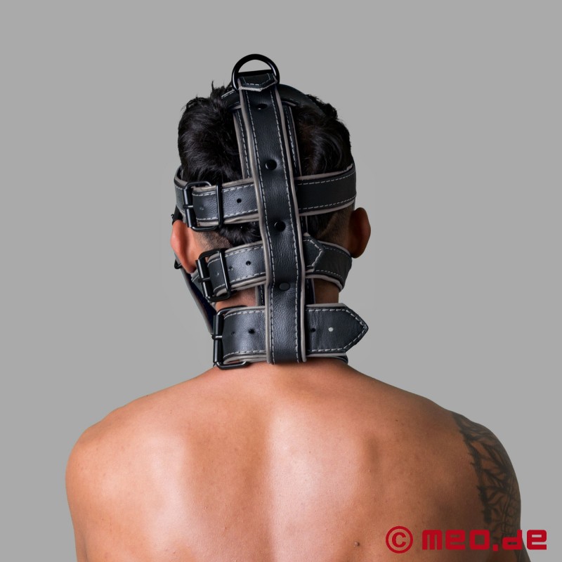 Leather Head Harness - Deluxe San Francisco