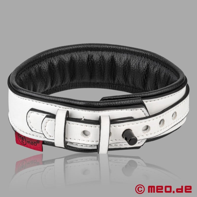 Leather Bondage Collar with D-Ring – Venice BDSM Collection