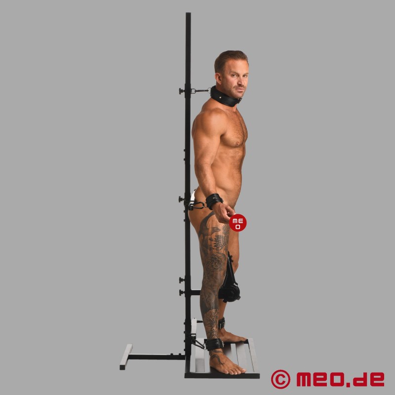 Tower of Pain Pleasure so sexuálnym strojom