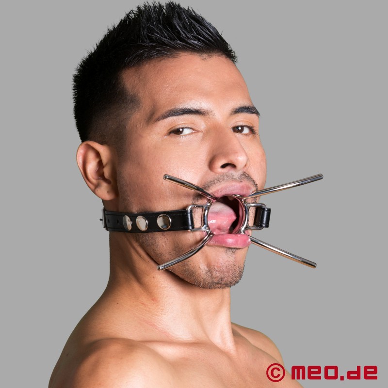 Spider Gag - BDSM tıkaç