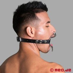 Spider Gag - Bâillon BDSM - Thumbnail