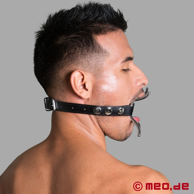 Spider Gag - BDSM Ağızlık - 1