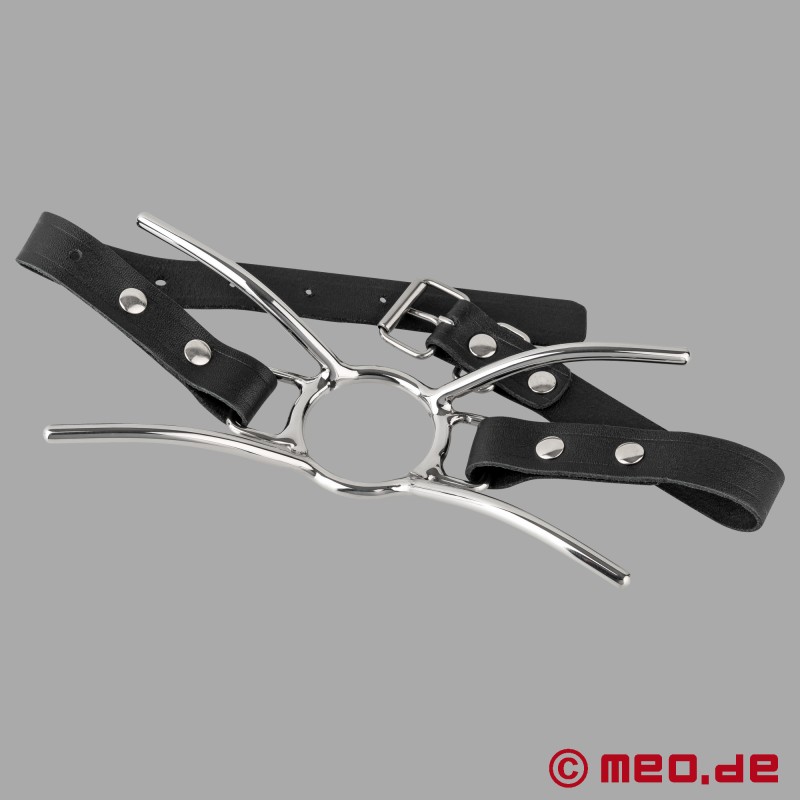 Spider Gag - BDSM Ağızlık - 2