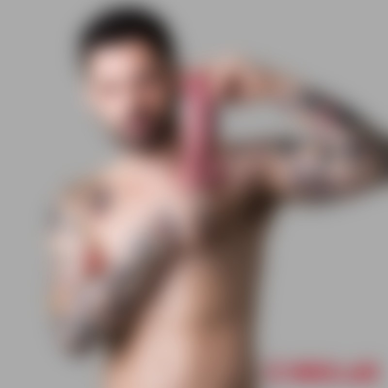 Realistinen dildo - Suihinotto dildo 22 cm - 1