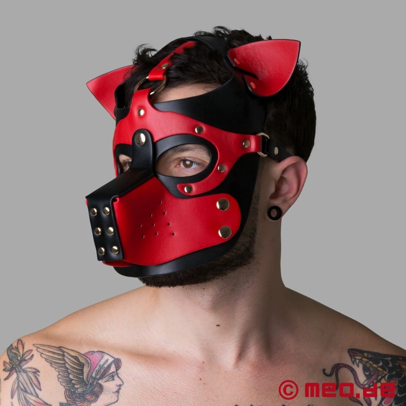 Playful Pup Hood - mask must/punane