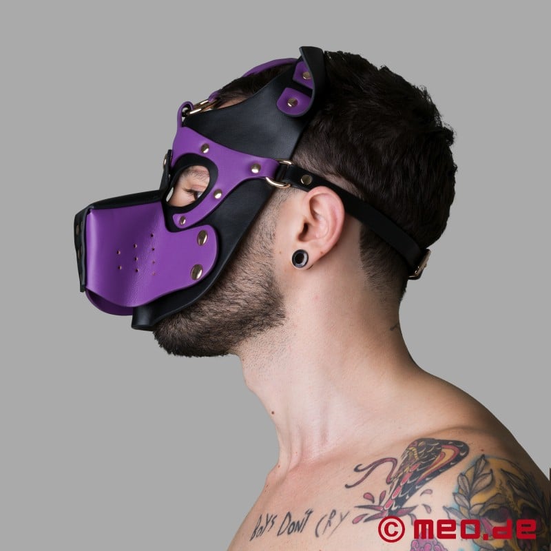 Playful Pup Hood - Mask in black and purple